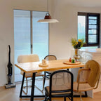 Ruile Ceiling light fitting Pendant Lamp