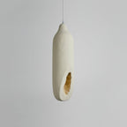 Seltanica Houselight Pendant Light