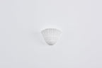 Shella Wall Light