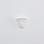 Shella Wall Light