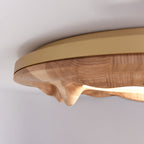 Sky Lake Ceiling light Ceiling Lamp