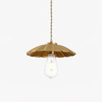 Sleek Flat Hanging light Pendant Lamp
