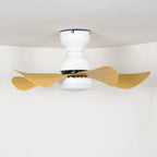 Small Arilia 29" Overhead fixture Ceiling Fan Light