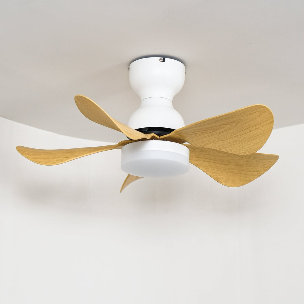 Small Arilia 29" Overhead fixture Ceiling Fan Light