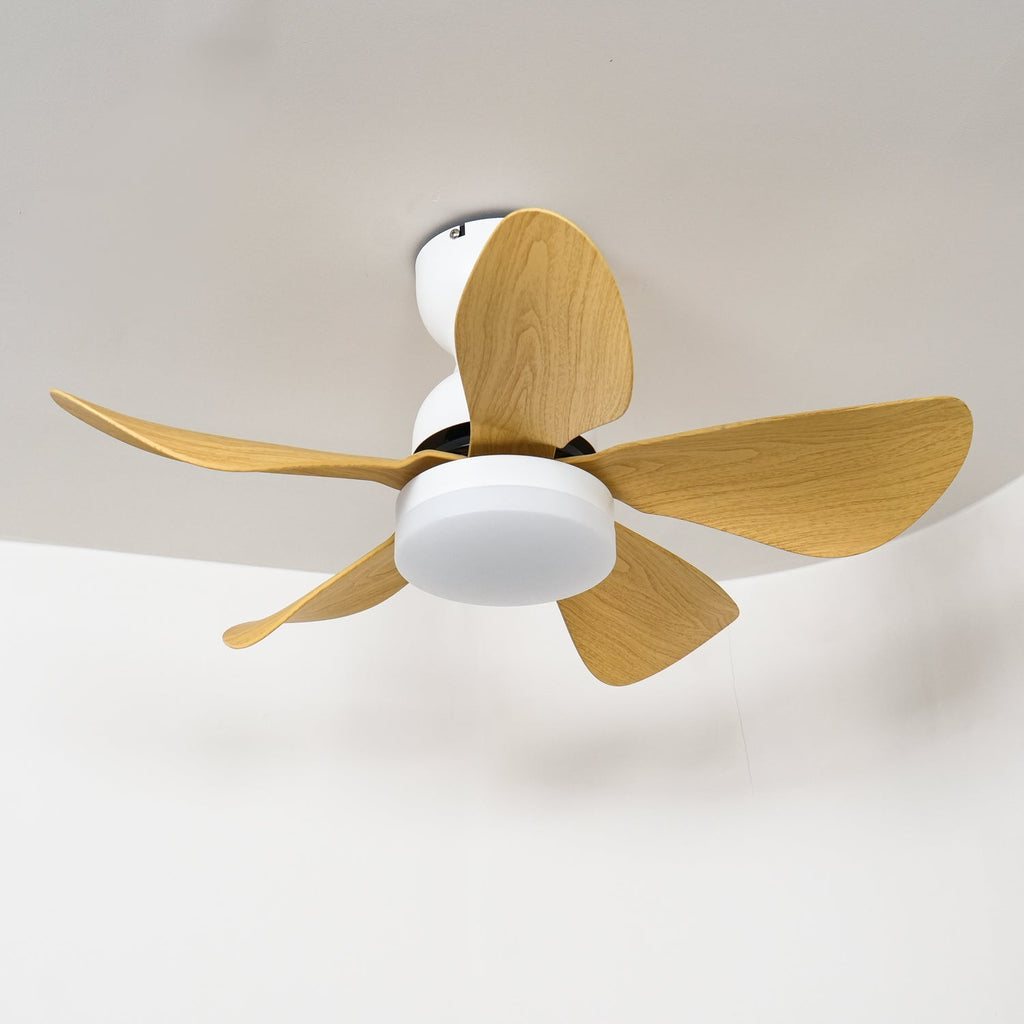 Small Arilia 29" Overhead fixture Ceiling Fan Light