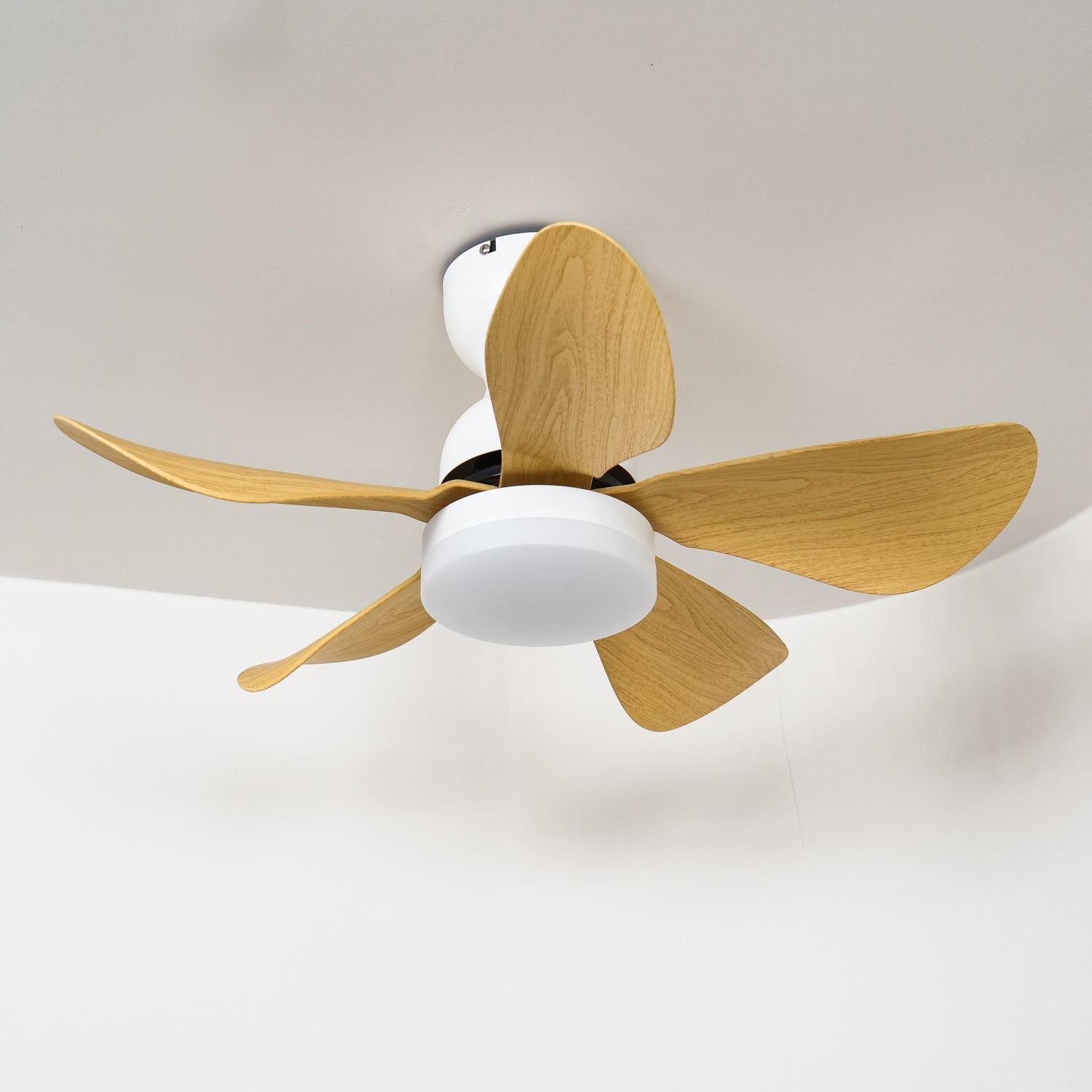 Small Arilia 29" Overhead fixture Ceiling Fan Light