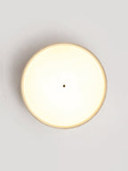 Solvara Disc Ceiling Lamp