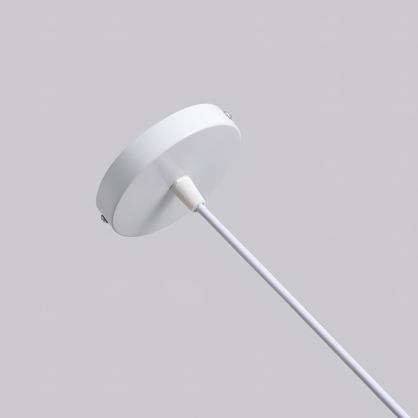 Straw Hat Drop light Pendant Light