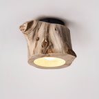Tarn Hollow Ceiing Lamp
