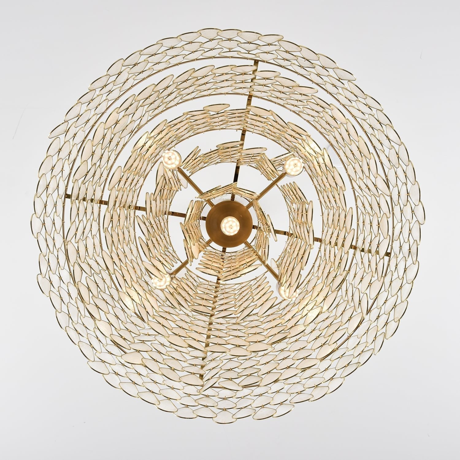 Teardrops Shell Chandelier