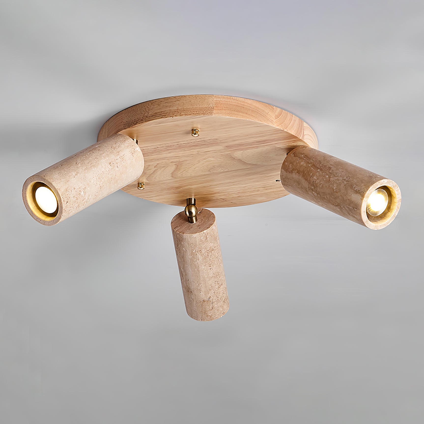 Terra Beam Ceiling Light