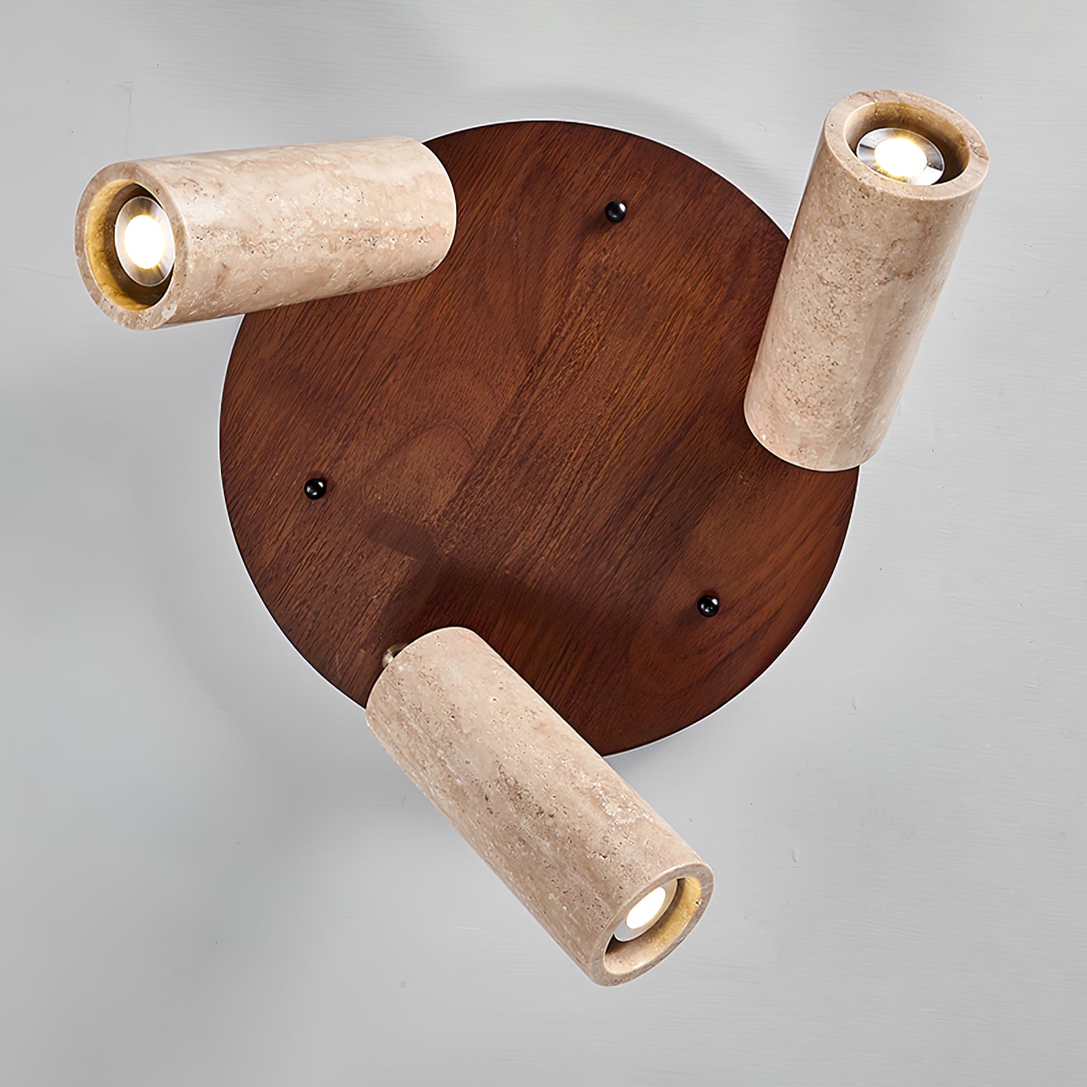 Terra Beam Ceiling Light