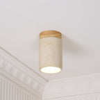 Terra Cylinder Ceiling-mounted light Ceiling Light