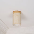 Terra Cylinder Ceiling-mounted light Ceiling Light