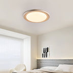 Terralux Ceiling Light