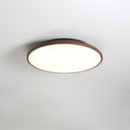 Thin Geometry Shape Ceiling fixture Ceiling Lamp