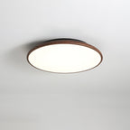 Thin Geometry Shape Ceiling fixture Ceiling Lamp