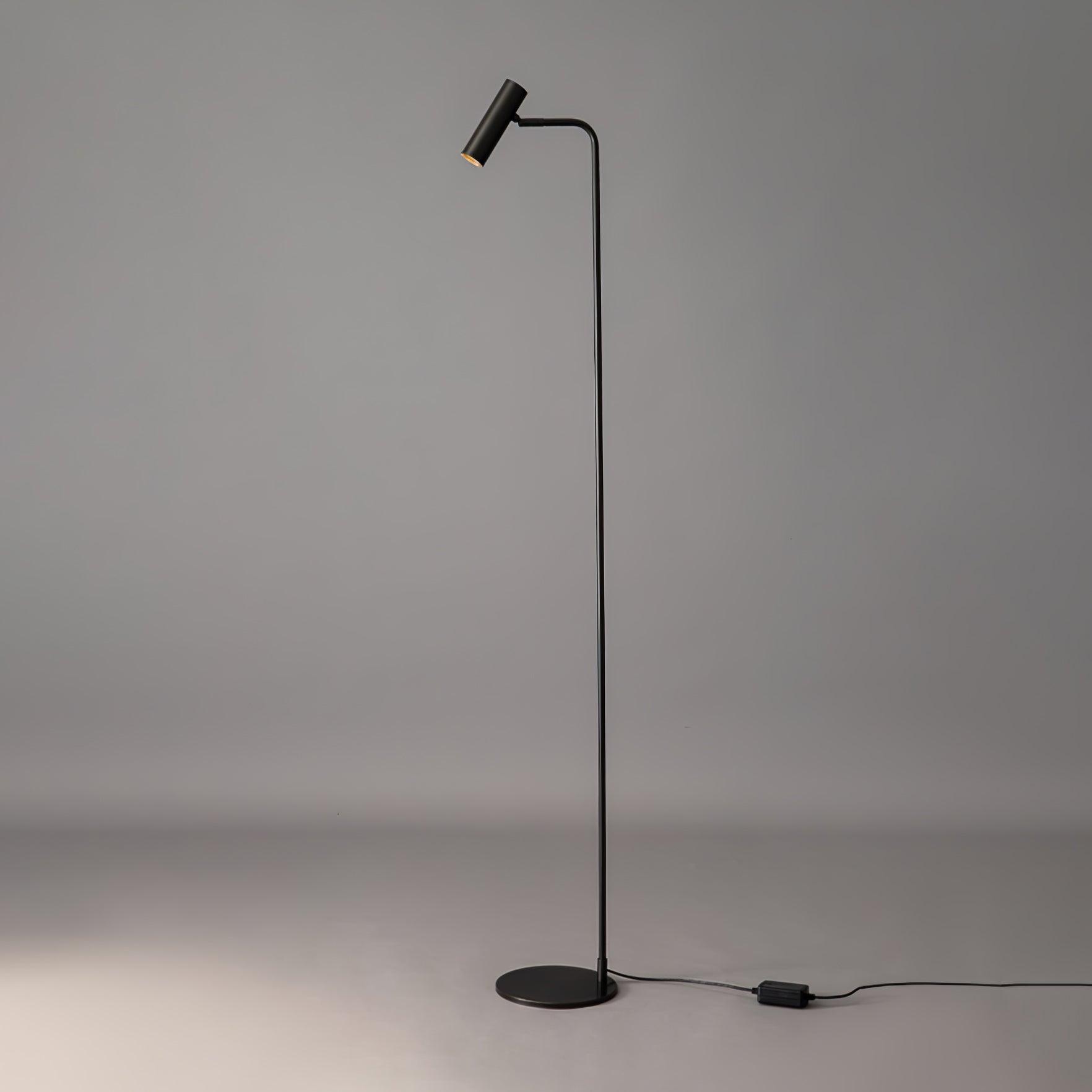 Torris Tall Lamp Floor Lamp