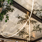 Flexible Curve Droplight Pendant Lamp