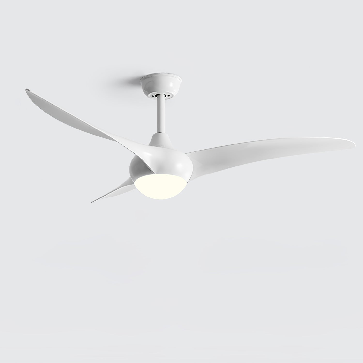 Traditional Flush mount light Ceiling Fan Light