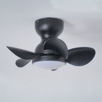 Trailblazer 18" Overhead fixture Ceiling Fan Light