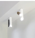 Tubes Overhead light Ceiling Light