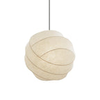 Turner Drop light Pendant Lamp