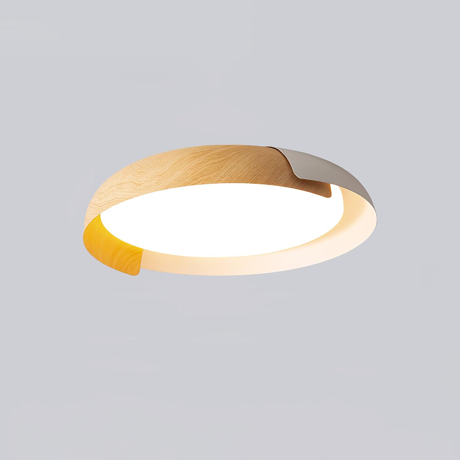 Vikaey Overhead fixture Ceiling Light