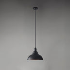 Vintage Industrial Collections Ceiling light fitting Pendant Light