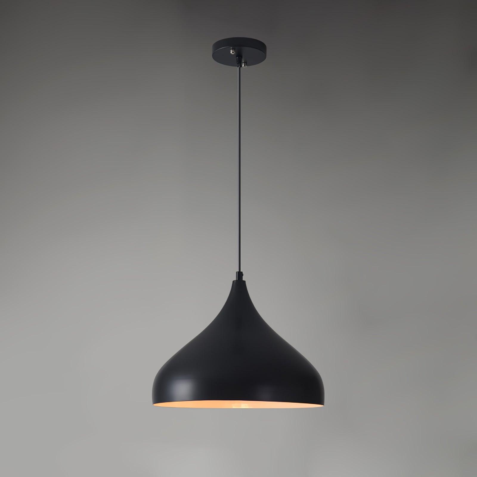 Vintage Industrial Collections Ceiling light fitting Pendant Light