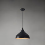 Vintage Industrial Collections Ceiling light fitting Pendant Light