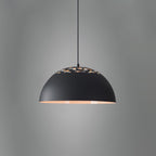 Vintage Industrial Collections Ceiling light fitting Pendant Light