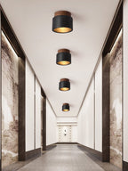 Volcanic Glow Ceiling Light