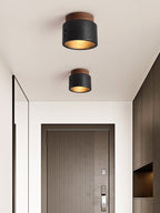 Volcanic Glow Ceiling Light
