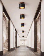 Volcanic Glow Ceiling Light