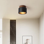 Volcanic Glow Ceiling Light
