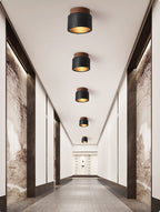 Volcanic Glow Ceiling Light