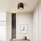 Volcanic Glow Ceiling Light