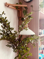 Walnut Telescopic Wall light Wall Lamp