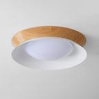 Double Half Round Ceiling light Ceiling Light