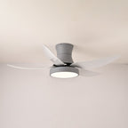 Zephyr Noir Ceiling Fan Light