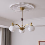 Aurelio Globe Arm Chandelier