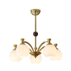 Aurelio Globe Arm Chandelier