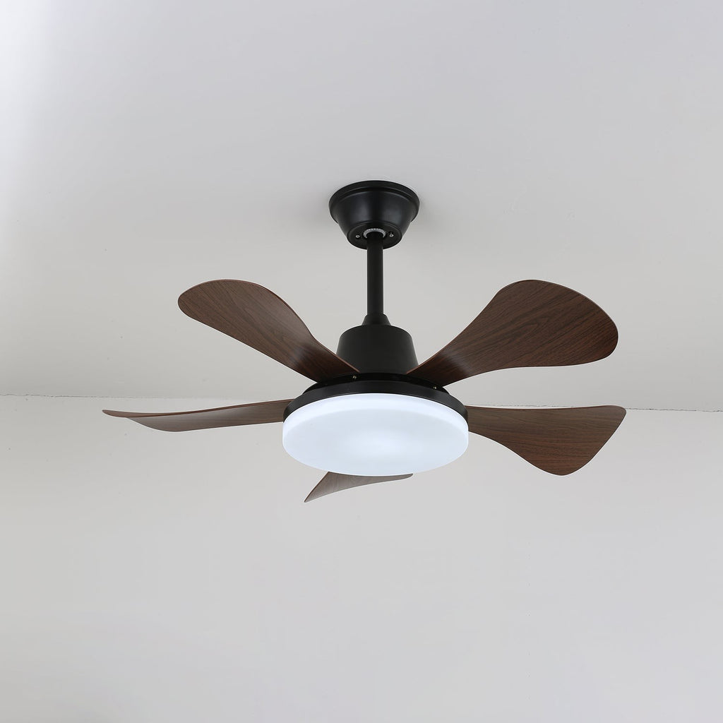 Avelon Modern Ceiling Fan Light