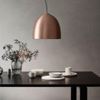 Suspence Houselight Pendant Light
