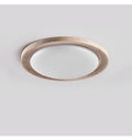 Terralux Ceiling Light