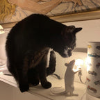 Mouse Work lamp Table Light