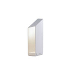 Shadow Peak Outdoor Bollard Light