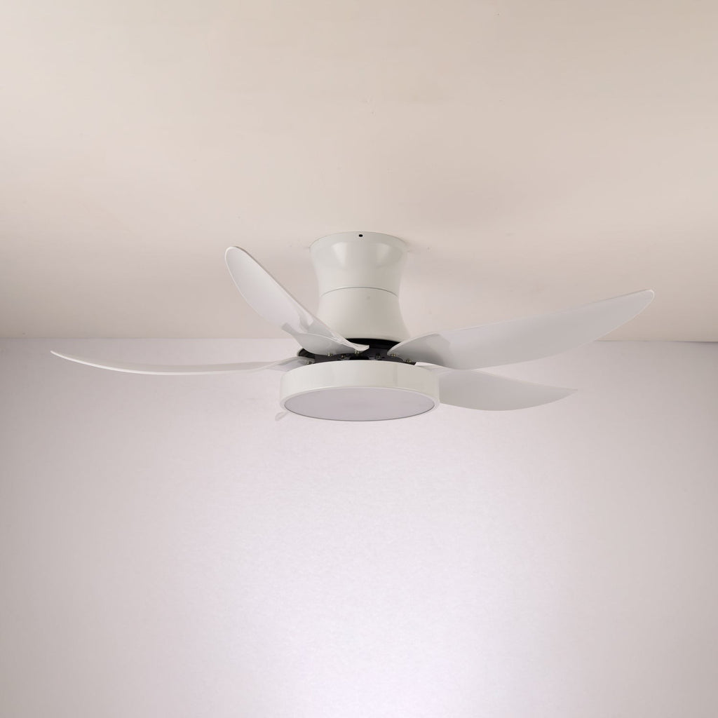 Vortex Wave Ceiling Fan Light