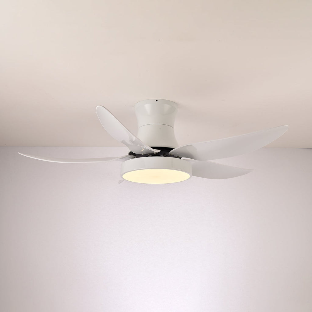 Vortex Wave Ceiling Fan Light